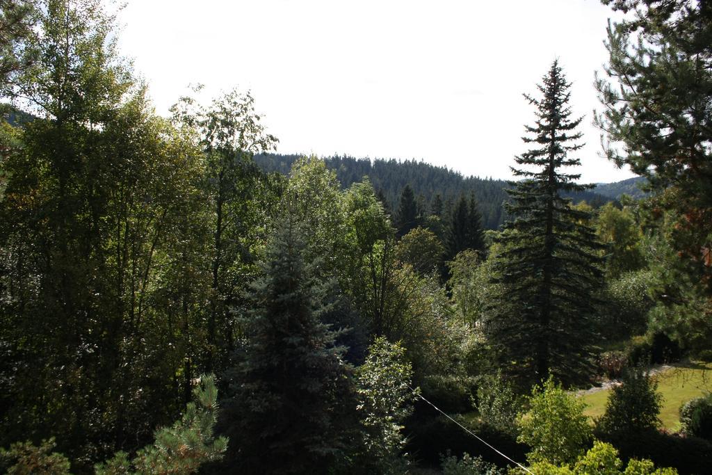 Konvalinka - ubytování v soukromí Harrachov Exterior foto